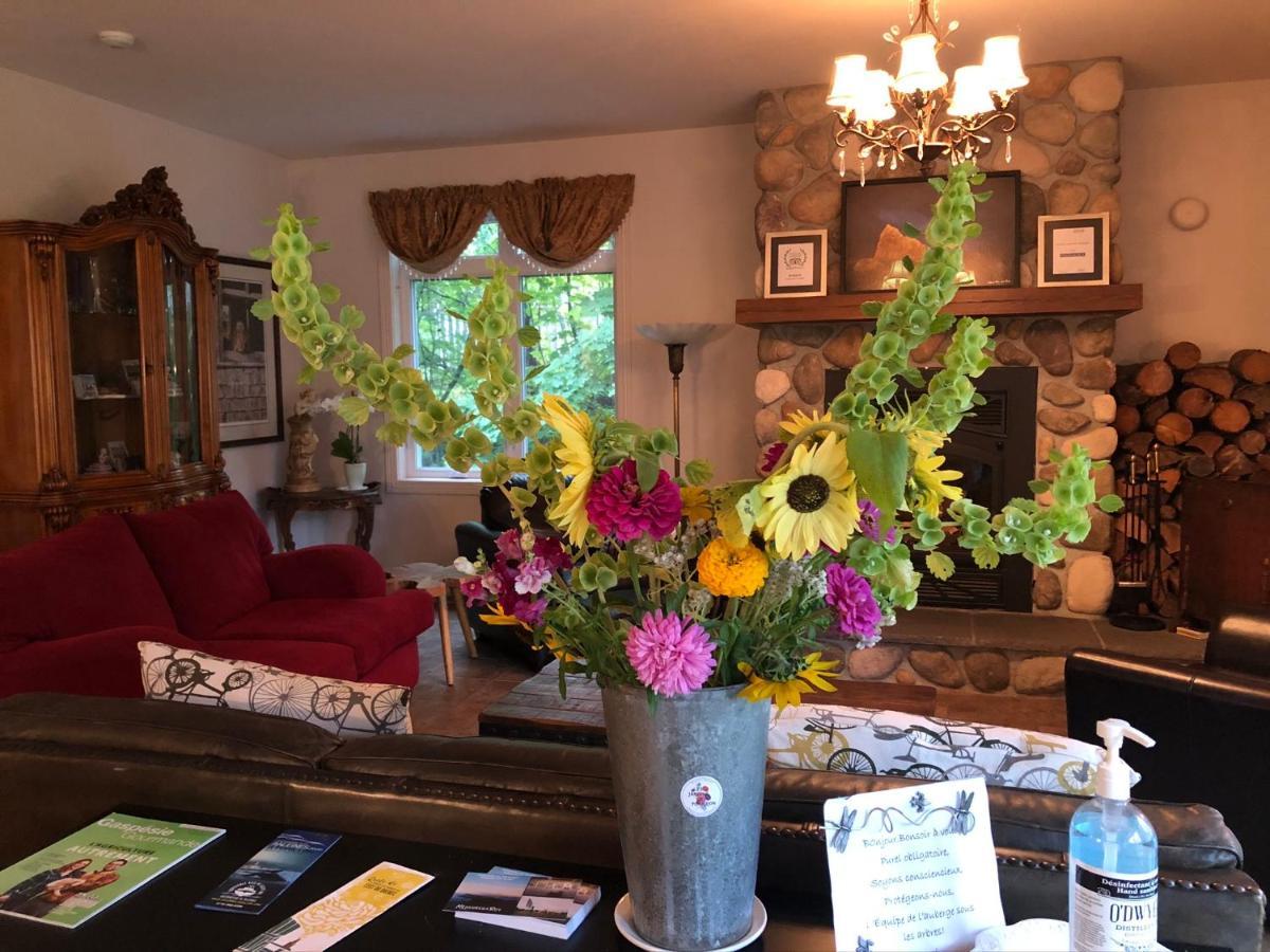 Auberge Sous Les Arbres Gaspé エクステリア 写真