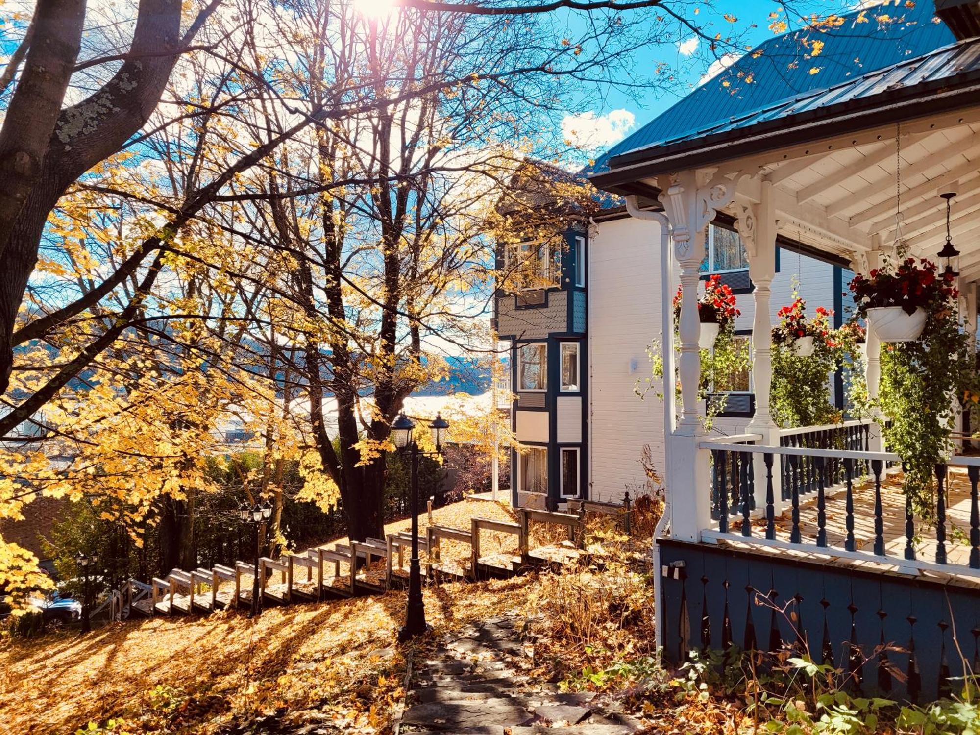 Auberge Sous Les Arbres Gaspé エクステリア 写真