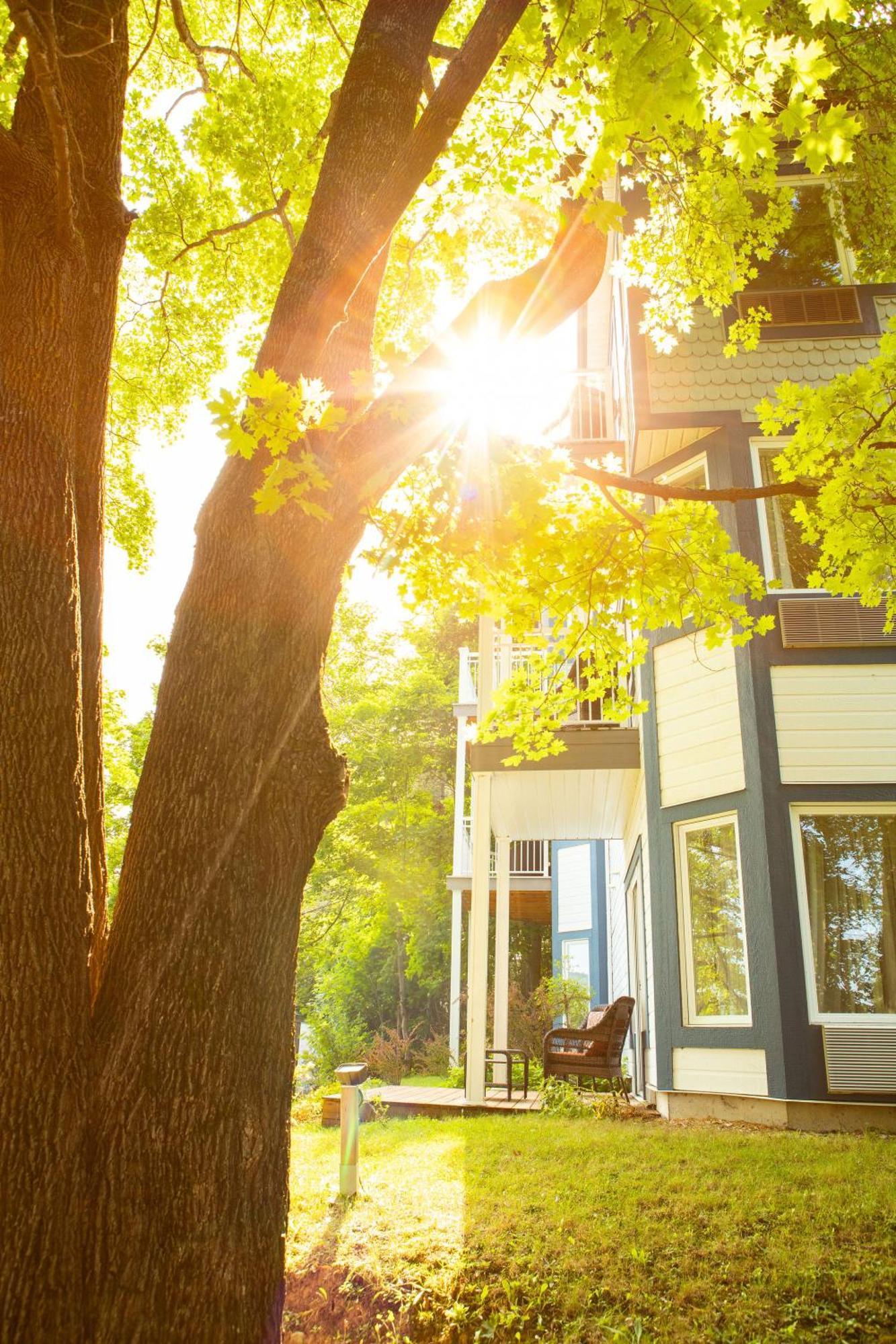 Auberge Sous Les Arbres Gaspé エクステリア 写真